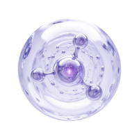 EXOSOME-12 EXOSOME-12